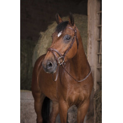 Rênes caoutchouc Norton Pro Havane Marron Rênes caoutchouc Norton Pro Havane Marron