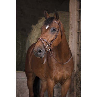 Rubberen teugels Norton Pro Havana Bruin