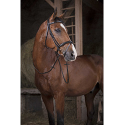 Rubberen Teugels Norton Pro 16 mm Zwart