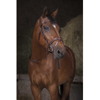 Teugels Norton Pro singel Zwart / wit