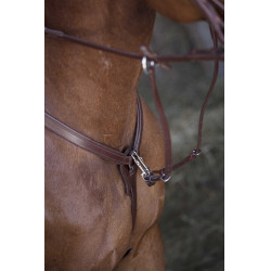 Collier de chasse Norton Pro Havane Marron