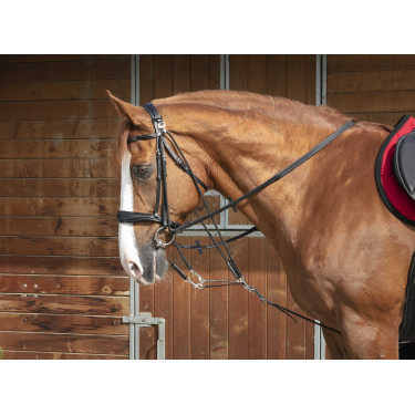 Norton Pro katrolhoofdstel Zwart Norton Pro katrolhoofdstel Zwart