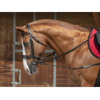 Elastische korte hulpteugel / Norton Pro katrollen Zwart