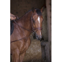 Elastische korte hulpteugel / Norton Pro katrollen Havana Bruin Elastische korte hulpteugel / Norton Pro katrollen Havana Bruin