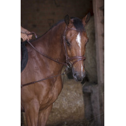 Elastische korte hulpteugel / Norton Pro katrollen Havana Bruin Elastische korte hulpteugel / Norton Pro katrollen Havana Bruin