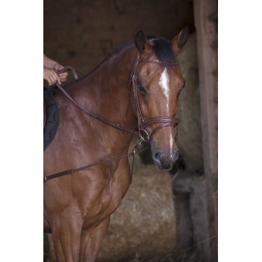 Elastische korte hulpteugel / Norton Pro katrollen Havana Bruin Elastische korte hulpteugel / Norton Pro katrollen Havana Bruin