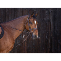 Gogue à poulies Riding World Havane Marron