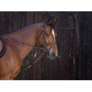 Gogue à poulies Riding World Havane Marron Gogue à poulies Riding World Havane Marron