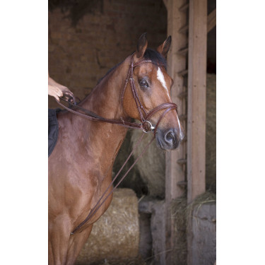 Duitse teugels leer / touw Norton Pro Havana Bruin