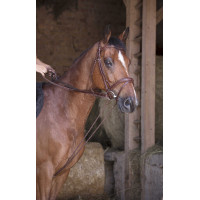 Rênes allemande cuir / corde Norton Pro Havane Marron