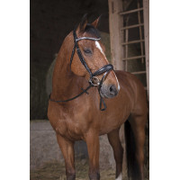 Norton Pro gripteugels Havana / bruin