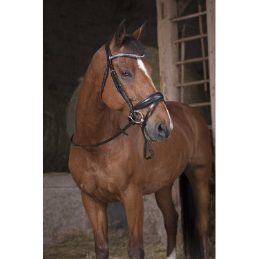 Rênes grip Norton Pro Noir / noir