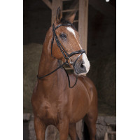 Rênes Norton Pro Supergrip Havane Marron