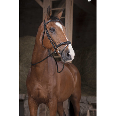 Teugels Norton Pro Supergrip Zwart