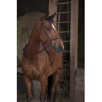 Teugels met handgrepen Norton Pro Havana Bruin