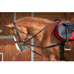 Weense teugels Norton Club Zwart