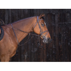 Martingale à anneaux Riding World Havane Marron