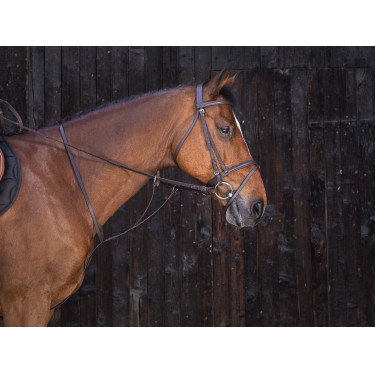 Martingale à anneaux Riding World Havane Marron