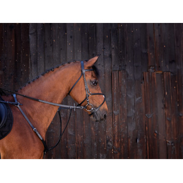 Martingaal met ringen Riding World Zwart