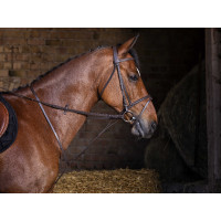 Martingale fixe Riding World Havane Marron Martingale fixe Riding World Havane Marron