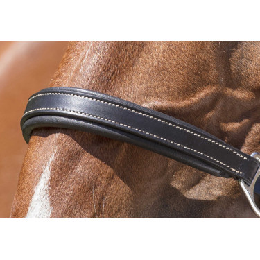 Licol cuir Norton Pro Grooming Noir