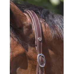 Licol cuir Norton Pro Grooming Havane Marron Licol cuir Norton Pro Grooming Havane Marron