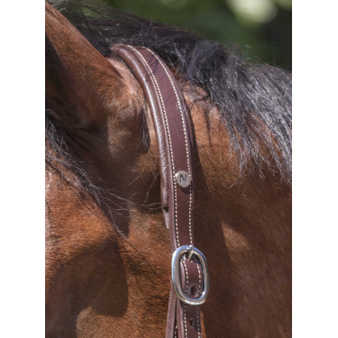 Licol cuir Norton Pro Grooming Havane Marron Licol cuir Norton Pro Grooming Havane Marron