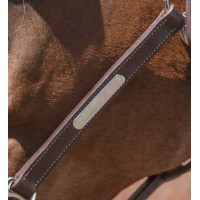 Lederen halster Norton Pro Grooming Zwart