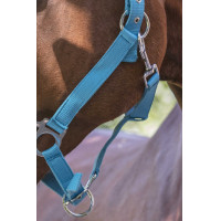 Licol Norton Fluo doublé Bleu