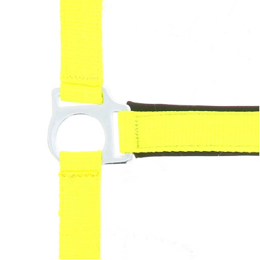 Licol Norton Fluo doublé Jaune