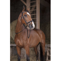 Teugels Hunter Norton Pro 16 mm Zwart