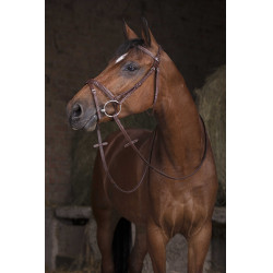 Rênes Hunter Norton Pro 16 mm Havane Marron