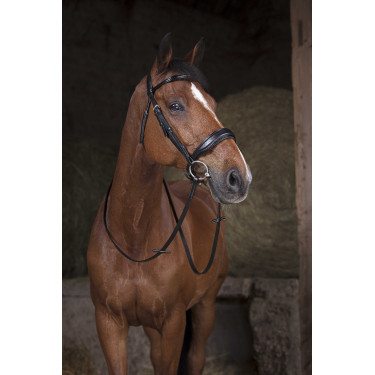 Rênes Norton Pro 16 mm Noir Rênes Norton Pro 16 mm Noir