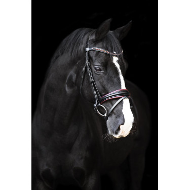 Bridon Impérial Riding Fria Bourgondië Bordeaux