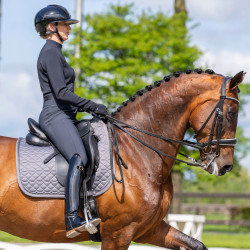 Zadeldek Euro-Star Cato DR Grijze Magneet Grijs