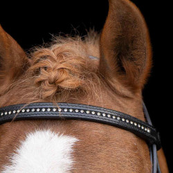 Bridon shetland Imperial Riding Stormy Zwart / kristal