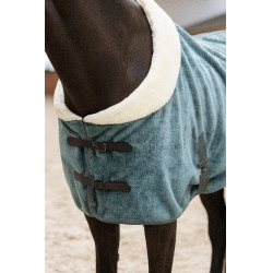 Couverture polaire Imperial Riding Ambient Galaxy Vert sauge