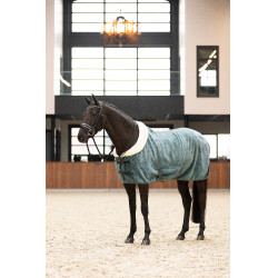 Couverture polaire Imperial Riding Ambient Galaxy Vert sauge