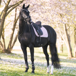 Zadeldek Imperial Riding Lenny DR Kwarts Roze Zadeldek Imperial Riding Lenny DR Kwarts Roze