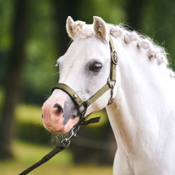 Halster Imperial Riding Rebel Olijfgroen