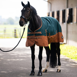 Imperial Riding Customized outdoor deken zonder hals Donkergroen / vos Imperial Riding Customized outdoor deken zonder hals Donkergroen / vos