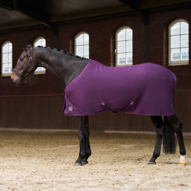 Fleece deken Imperial Riding Fundamental Vijg Violet Fleece deken Imperial Riding Fundamental Vijg Violet
