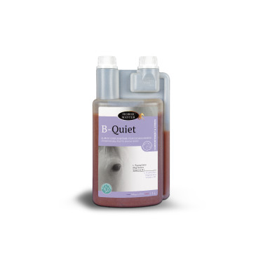 B-Quiet Horse Master