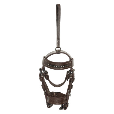 Bridon charms HV Polo Legacy Amande Marron