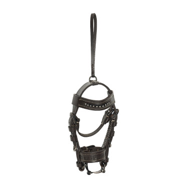 HV Polo Legacy halster met charms Hout Beige HV Polo Legacy halster met charms Hout Beige