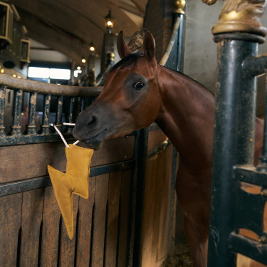 Jouet de box Imperial Riding éclair Jaune