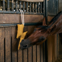 Stal-speeltje Imperial Riding bliksem Geel Stal-speeltje Imperial Riding bliksem Geel