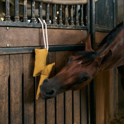 Stal-speeltje Imperial Riding bliksem Geel