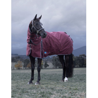 Couverture ComFiTec Essential Turnout Weatherbeeta 220g cou détachable Bordeaux / marine