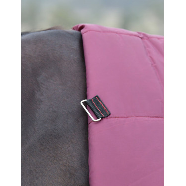 Couverture ComFiTec Essential Turnout Weatherbeeta 50g combo Bordeaux / marine Couverture ComFiTec Essential Turnout Weatherbeeta 50g combo Bordeaux / marine